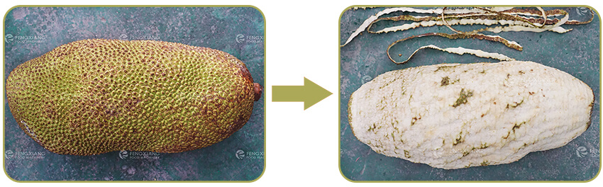 jackfruit peeling machine jackfruit peeling machine