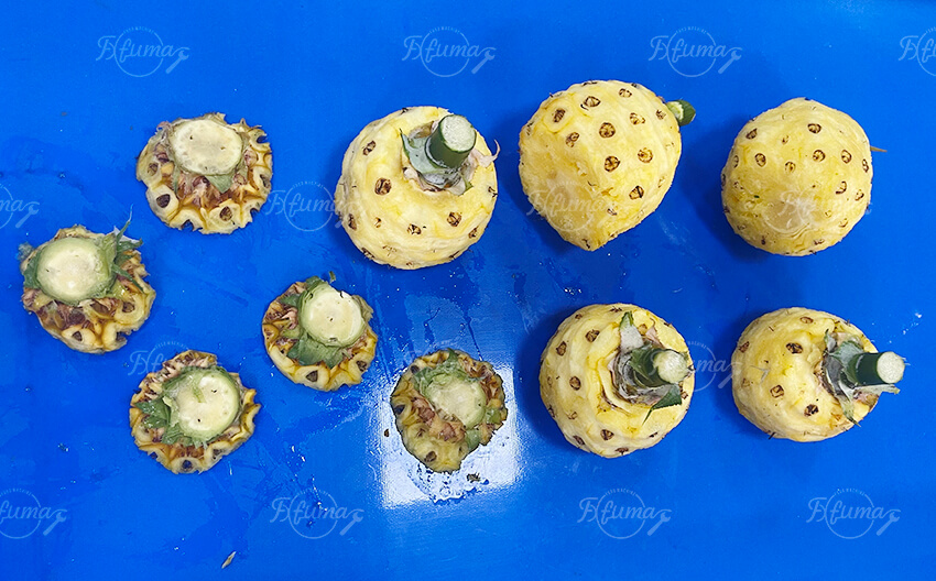 pineapple peeling cutting machine pineapple peeling cutting machine