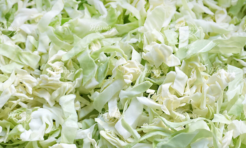 Cabbage processing line Cabbage processing line