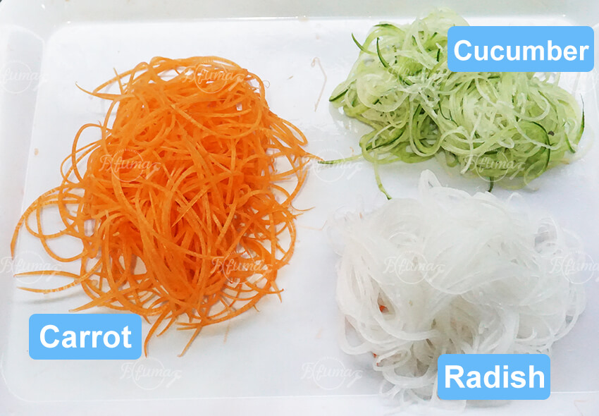 vegetable shredder vegetable shredder