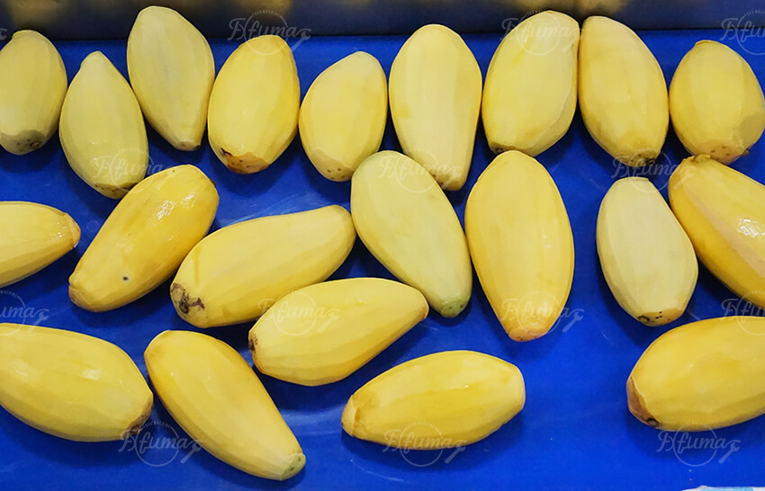 mango peeling machine in factory mango peeling machine in factory