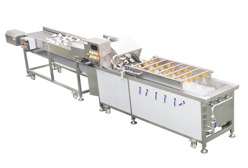 bubble washing system for leafy vegetables cleaning line bubble washing system for leafy vegetables cleaning line