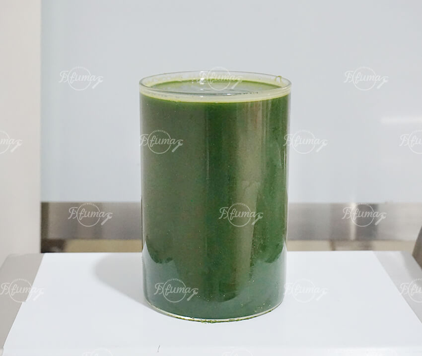 Pandan juice Pandan juice