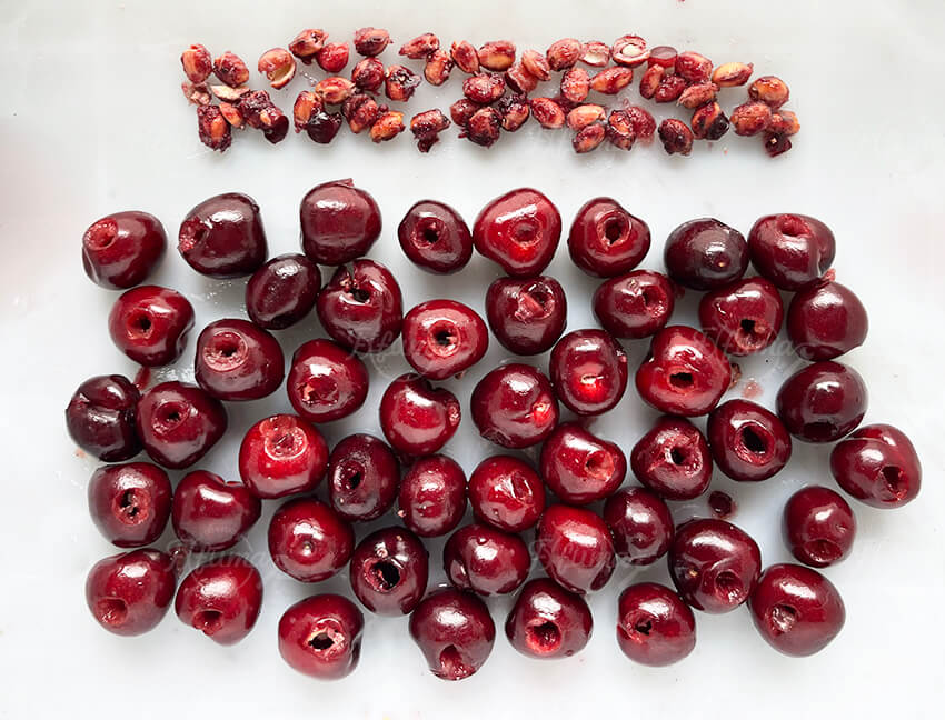 Cherry destoning equipment Cherry destoning equipment