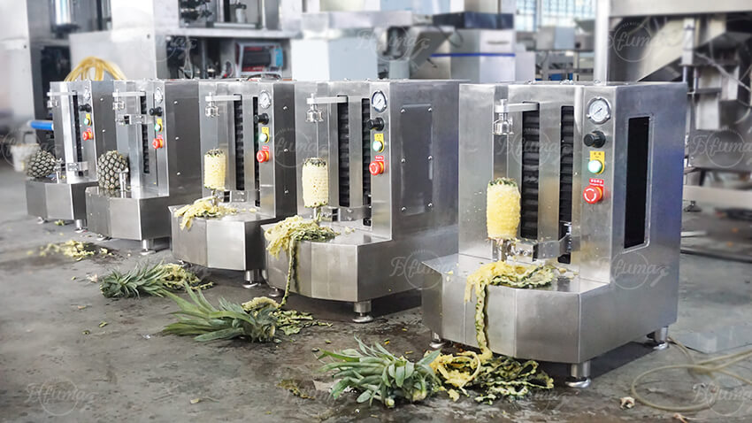 fruit peeling machine fruit peeling machine