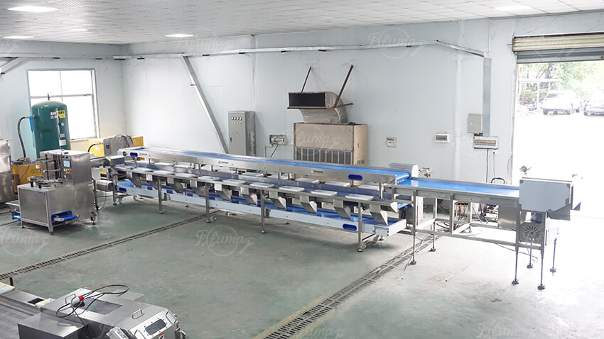 Fuma automatic pineapple top crown and bottom stem end truncation saw unit Fuma automatic pineapple top crown and bottom stem end truncation saw unit