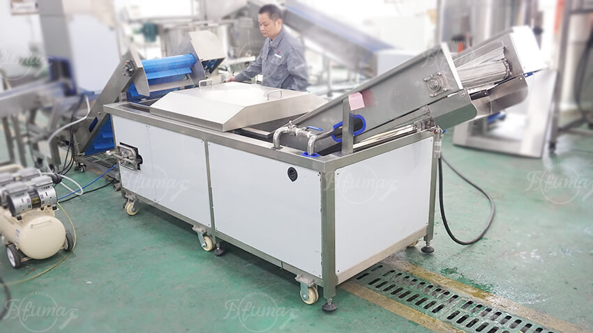pineapple ring washing system for cleaning sliced fruit products pineapple ring washing system for cleaning sliced fruit products
