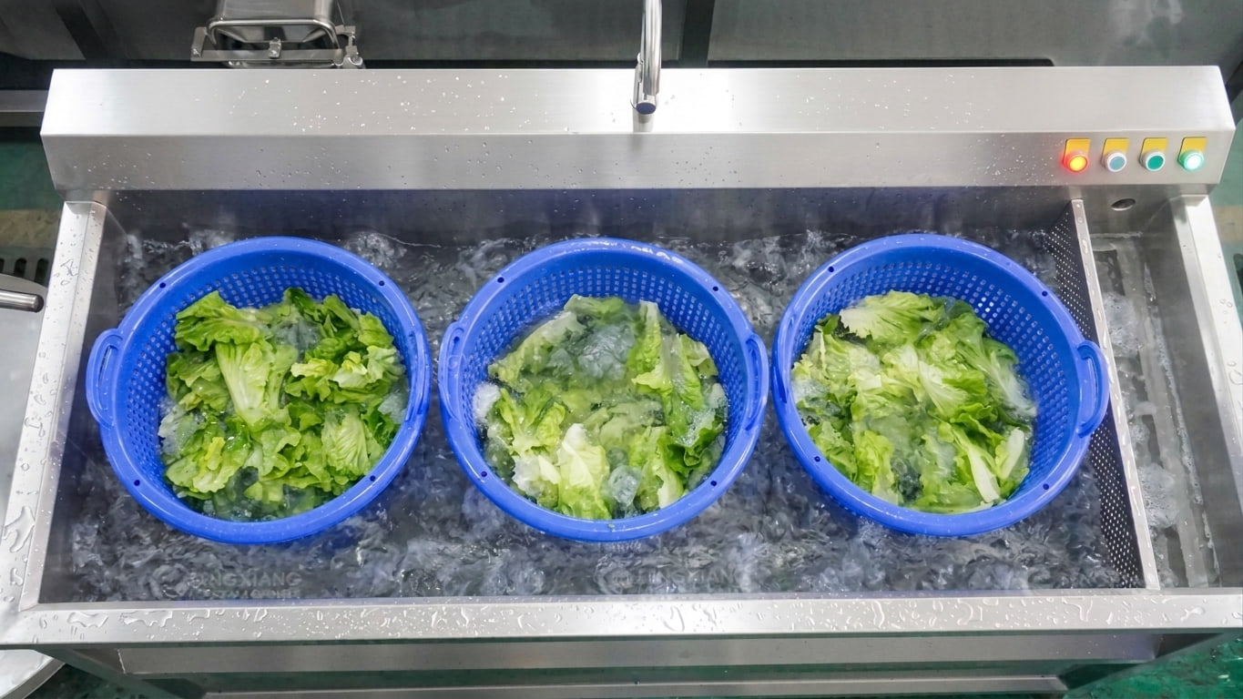 Bubble washing machine for lettuce and leafy vegetable cleaning Bubble washing machine for lettuce and leafy vegetable cleaning