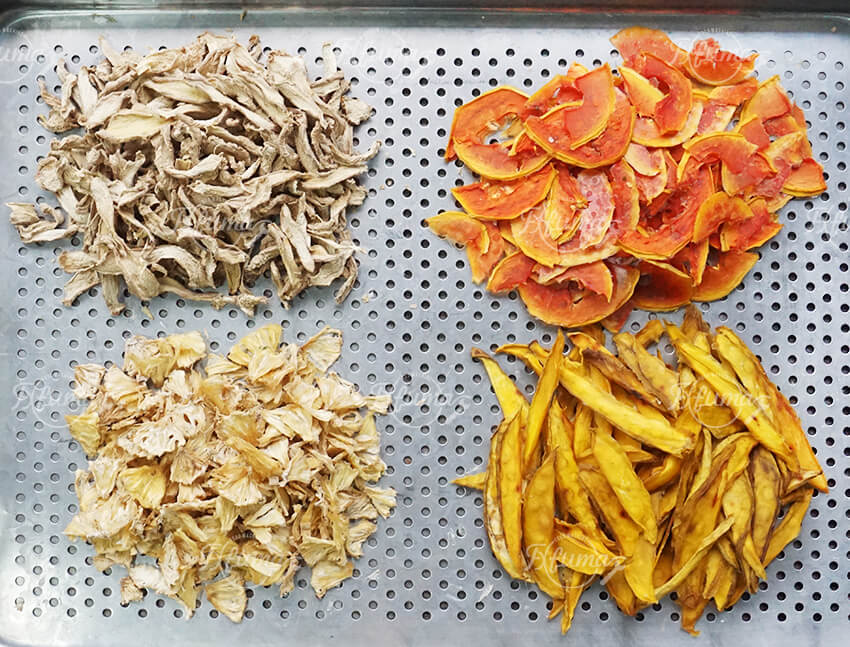pineapple drying using hot air food dehydrator pineapple drying using hot air food dehydrator