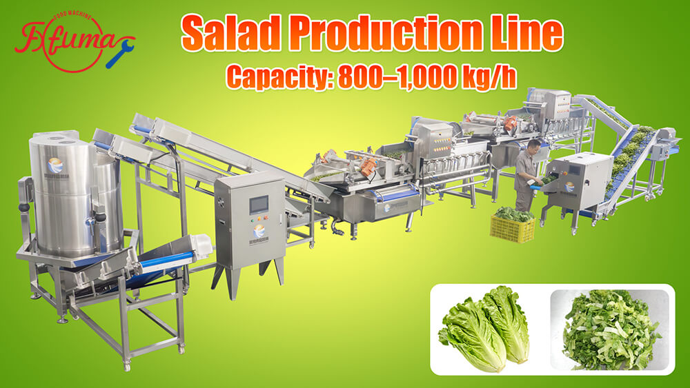 Turnkey automated salad processing line Turnkey automated salad processing line