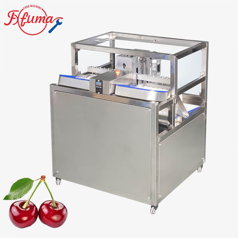 Industrial cherry seed removal machine for fruit processing Industrial cherry seed removal machine for fruit processing