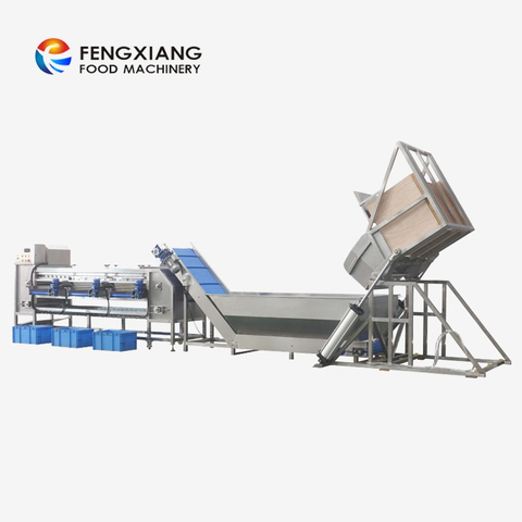 Fengxiang Carrot Raddish Cassava Sorting Processing Line