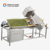 Fengxiang DY-I Automatic Bean Sprouts Root Removing Cutting Machine
