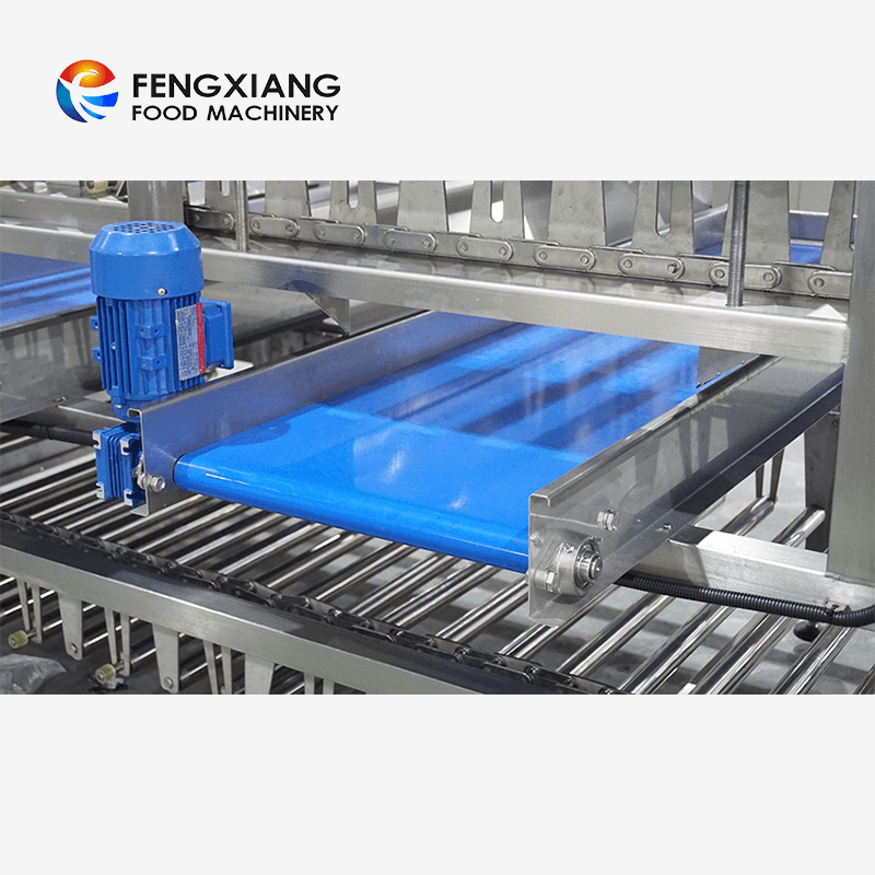 Fengxiang Fruit Potato Onion Sorting Grading Machine With Inspection Conveyor