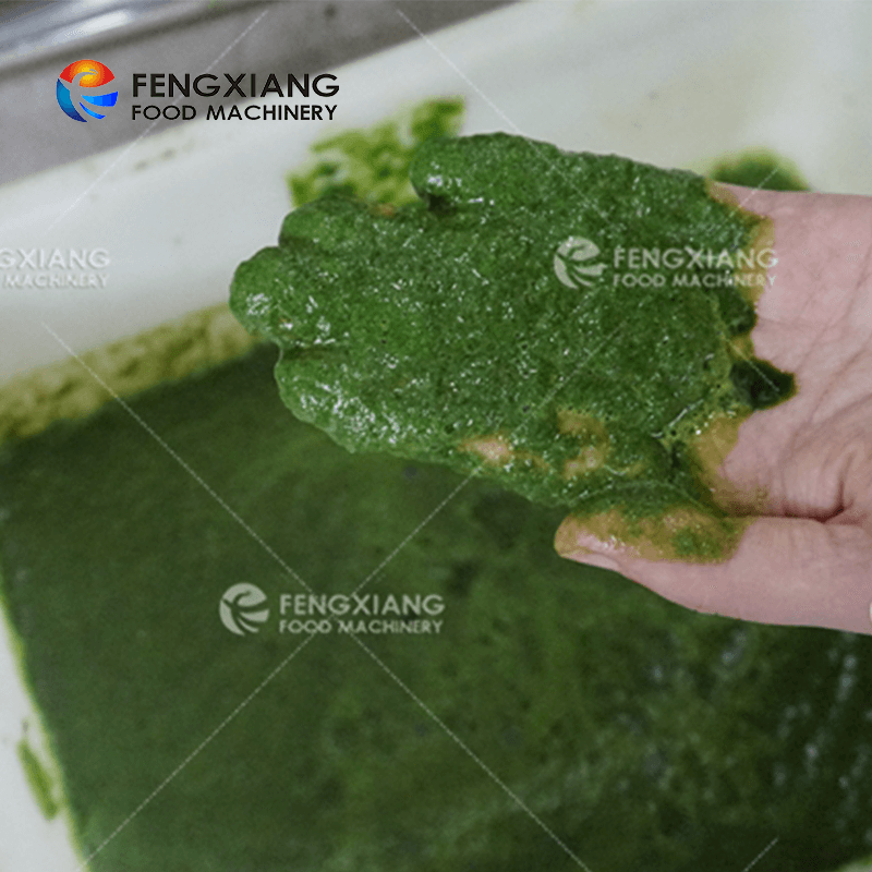 Fengxiang FC-310 Vegetable And Fruit Extractor machineBlender Spinach Juice Crusher Machine
