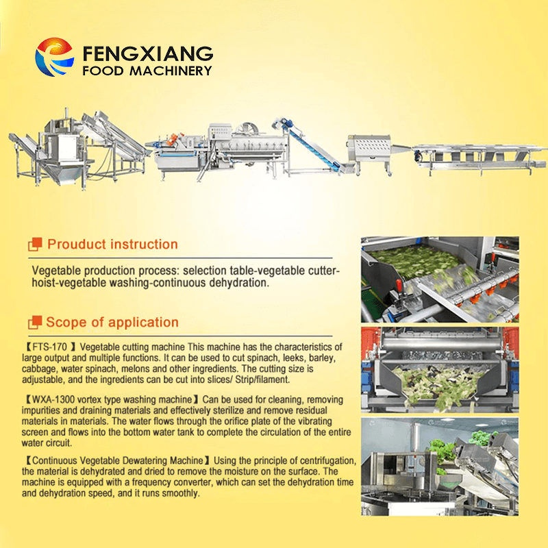 Fengxiang Vegetable Fruit Salad Cutting Washing Drying Machines Processing Line