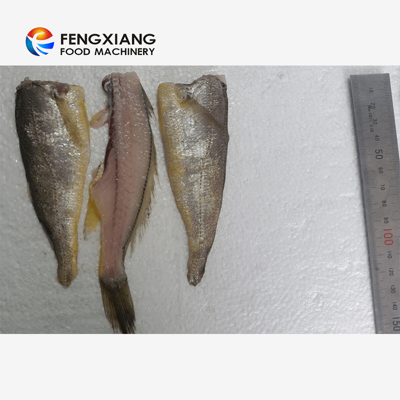 Fengxiang FGB-168 Fish Debone Machine Bone Separator Sardine Croaker Fish Filleting Machine