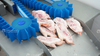 Professional Meat Bone Saw Pork Knuckle Half-Cut Machine