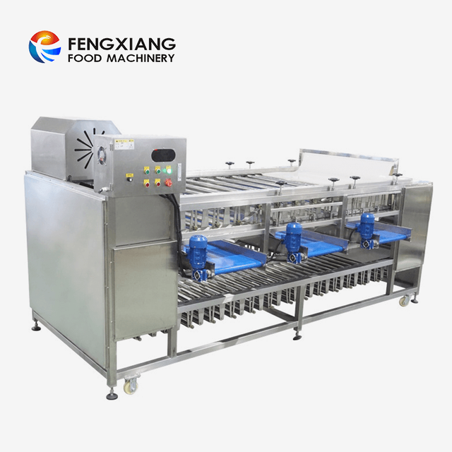 Fengxiang Fruit Potato Onion Sorting Grading Machine With Inspection Conveyor