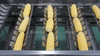 Fuma MC-365 Fresh Corn Radish Cutting Machine