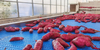 Sweet Potato Washing Cleaning Drying Soritng Solution Processing Line