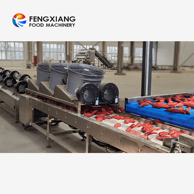 Sweet Potato Washing Cleaning Drying Soritng Solution Processing Line