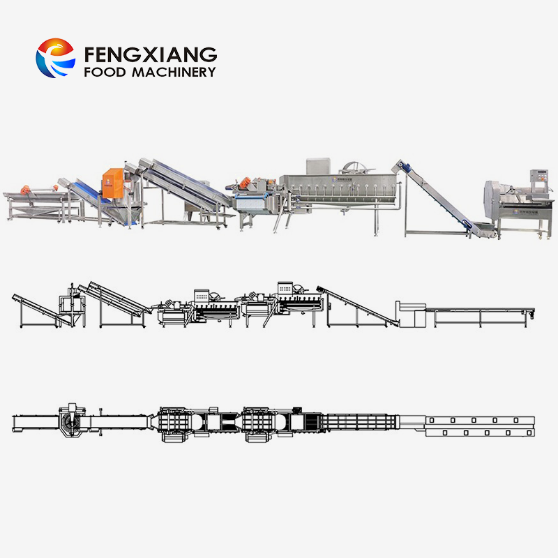 Fengxiang Vegetable Fruit Salad Cutting Washing Drying Machines Processing Line