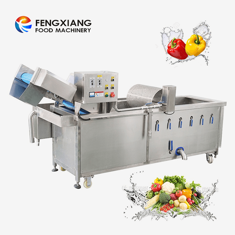 Fengxiang Commercial WA-1000 Vegetable Fruit Bubble Spray Washing Cleaning Machine