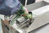 Scallion Green Onion Pneumatic Skin Peeling Machine