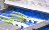 Vegetable Root Trimming and Segment Cutting Machine