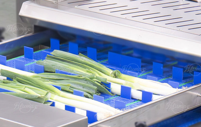 Vegetable Root Trimming and Segment Cutting Machine