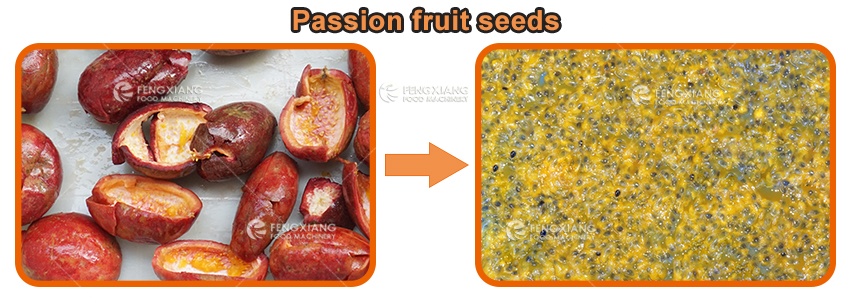 passion fruit seeding machine