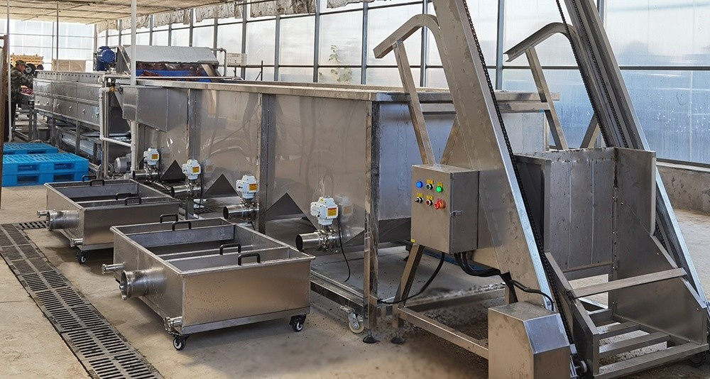 sweet potato soaking wash machine