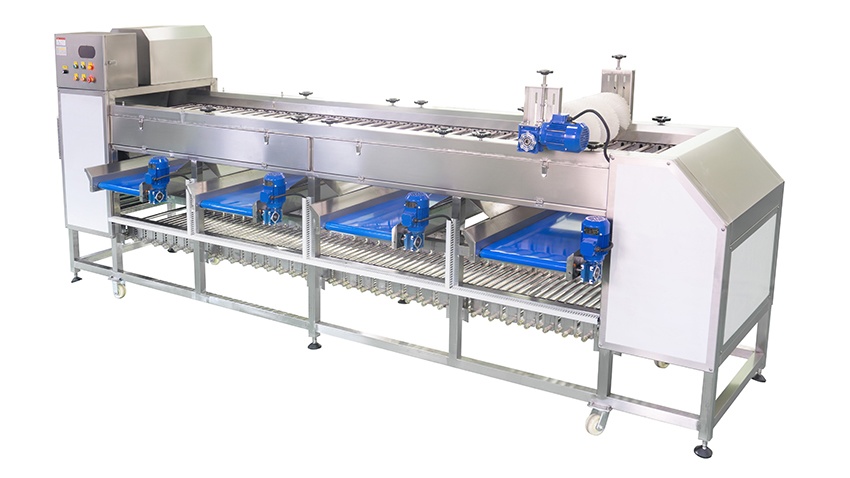 Automatic Fruit Vegetable Grading Sorting Machines 