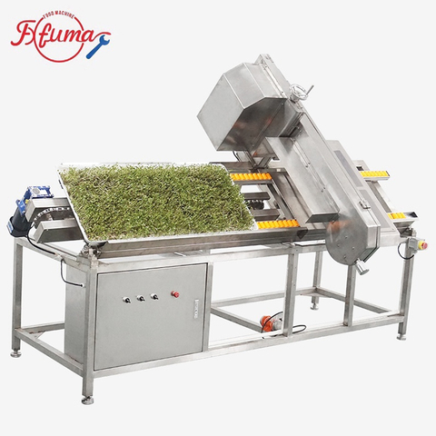 Bean Sprouts Root Cutting Machine
