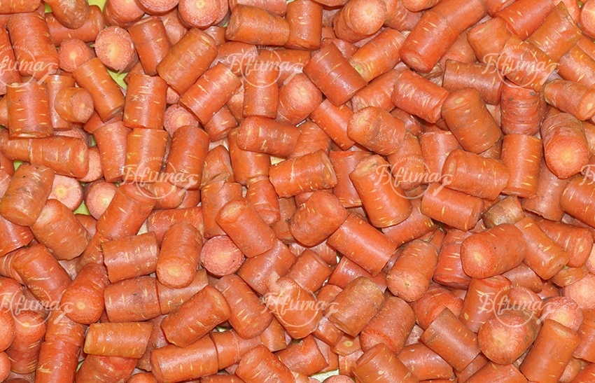 carrot cutting machine