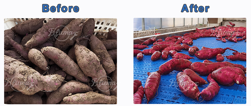 Root Vegetables Fruits Ginger Rotary Drum Washing Peeling Machine