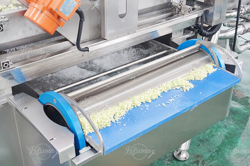 Industrial Cabbage Processing Line: Dicing, Vortex Washing & Centrifugal Drying