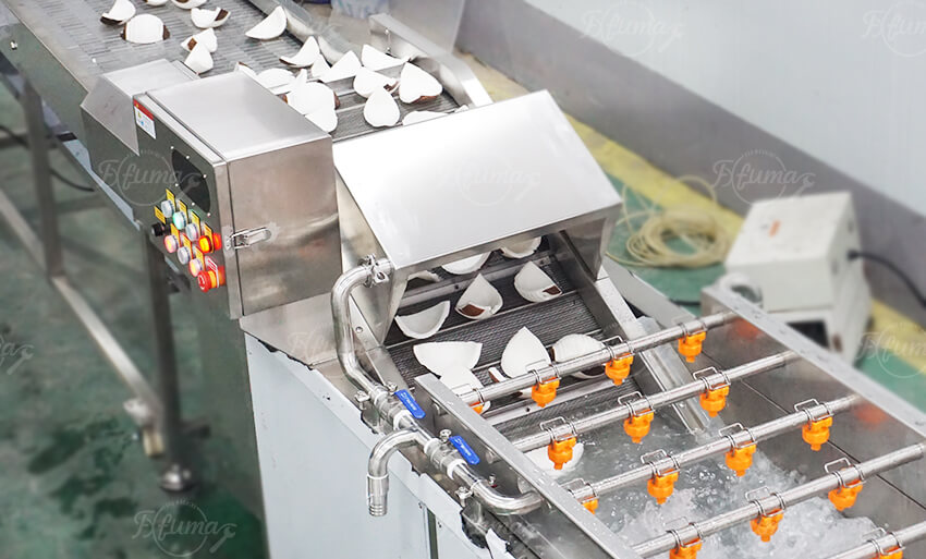 Double Head Coconut Peeling and Washing Machine for Fresh Processing Lines