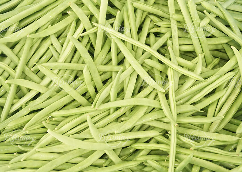 Efficient Green String Bean Head and Tail Cutting Trimming Machine