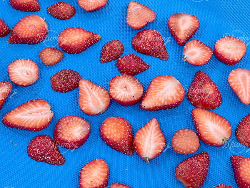 Strawberry cutting machine manufacturer