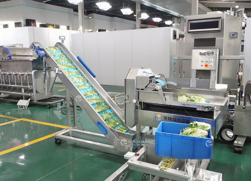 Vegetable Salad Production Cutting Washing Drying Dehydrating Processing Line