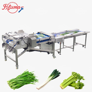 Vegetable Root Trimming and Segment Cutting Machine