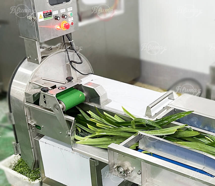 Pandan Leaves Processing Solution Bubble Washing and Cutting Machine