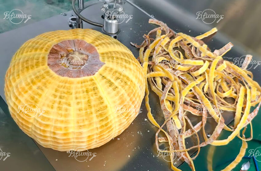 cushaw peeling machine