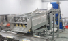 Fresh Sweet Corn Maize Skin Peeling Processing Machine