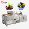 Fuma Automatic Date Cherry Olive Plum Pitting Machine Fruit Destoning Stoner Equipment