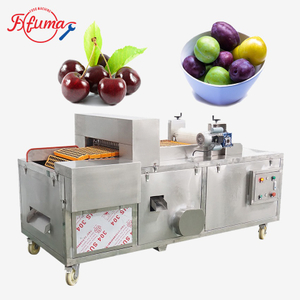 Fuma Automatic Date Cherry Olive Plum Pitting Machine Fruit Destoning Stoner Equipment