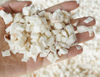 cassava cutting