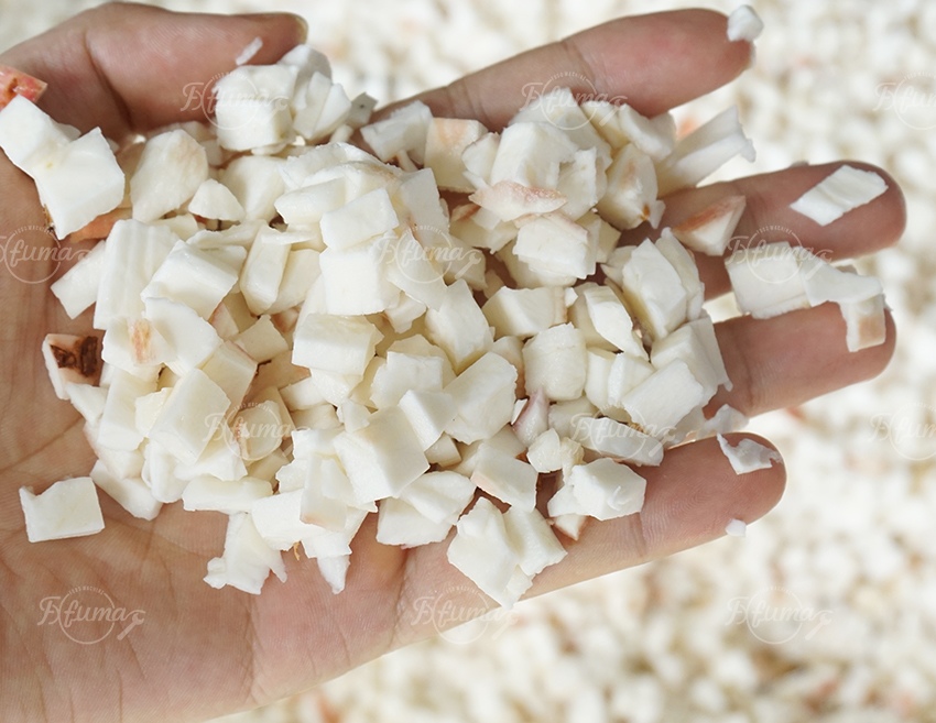 cassava cutting
